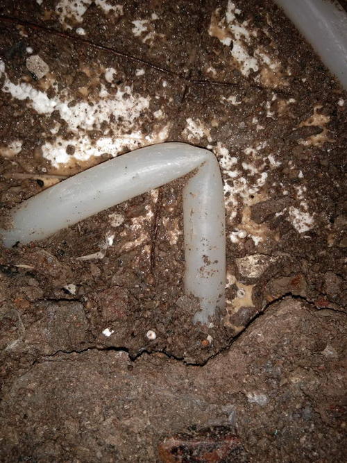 新兴堵点精准查找